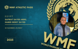Safwat Sayed Abdel Hamid Sedky Sayed